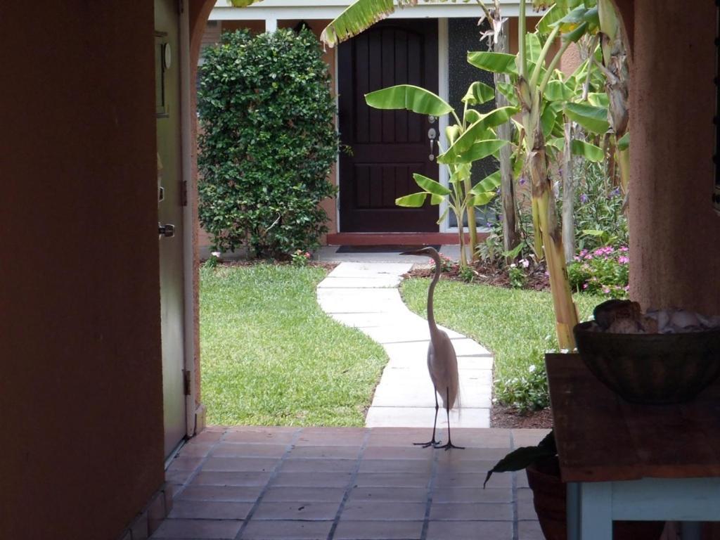 Beach Road Villas Sanibel Dış mekan fotoğraf